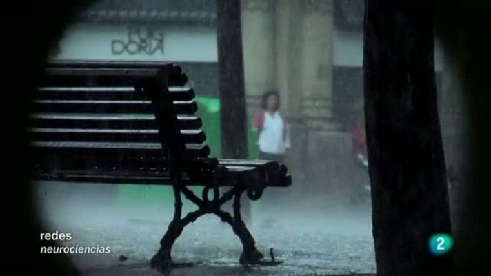 Redes - Redes - La mirada de Elsa -  Optimismo