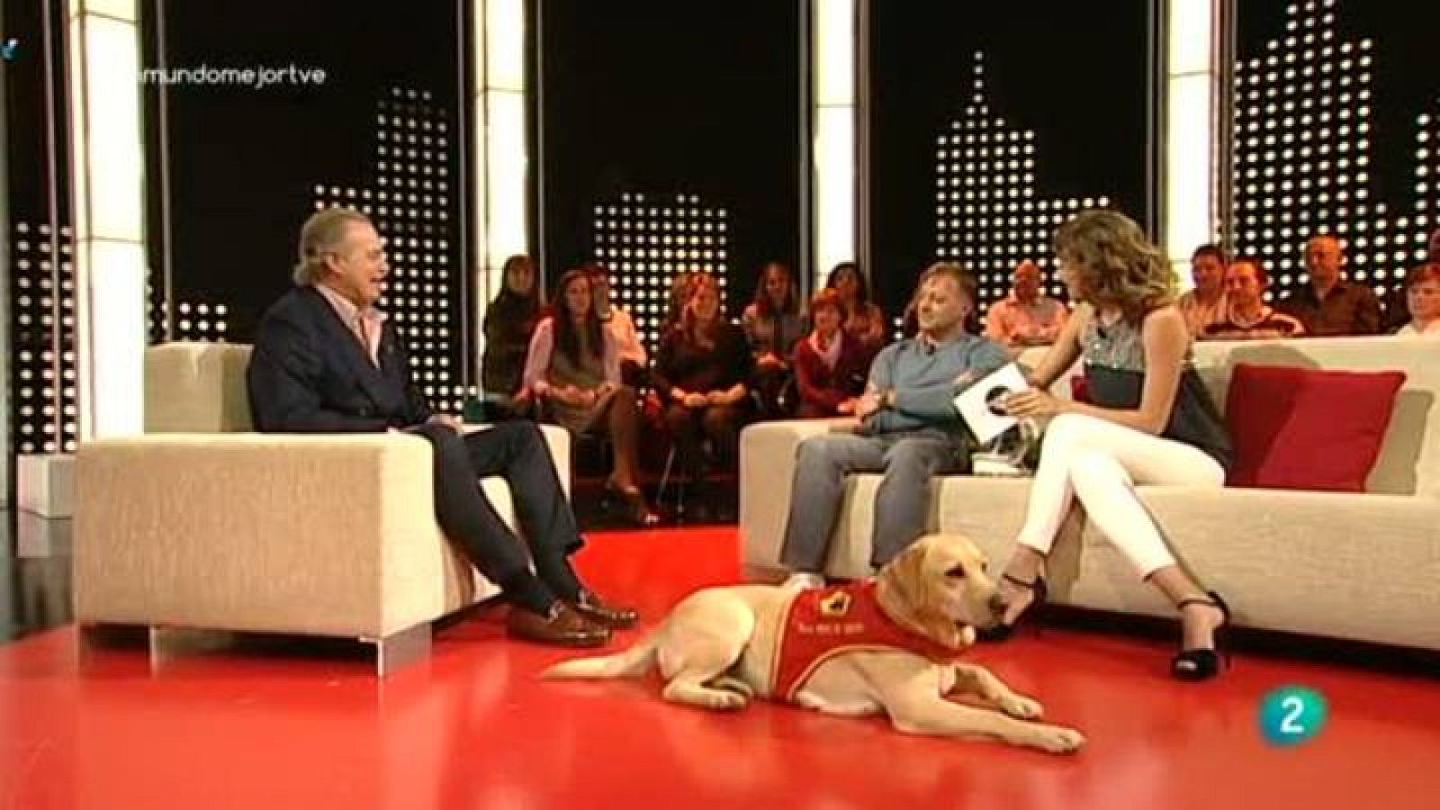 Un mundo mejor - Una historia diferente: Josu Feijó