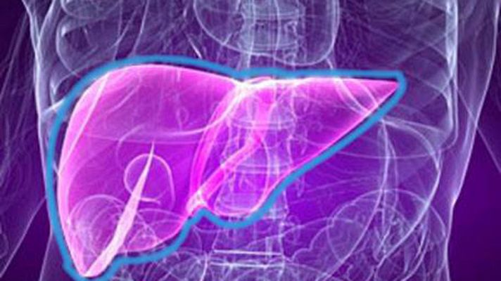 La mañana - El hígado