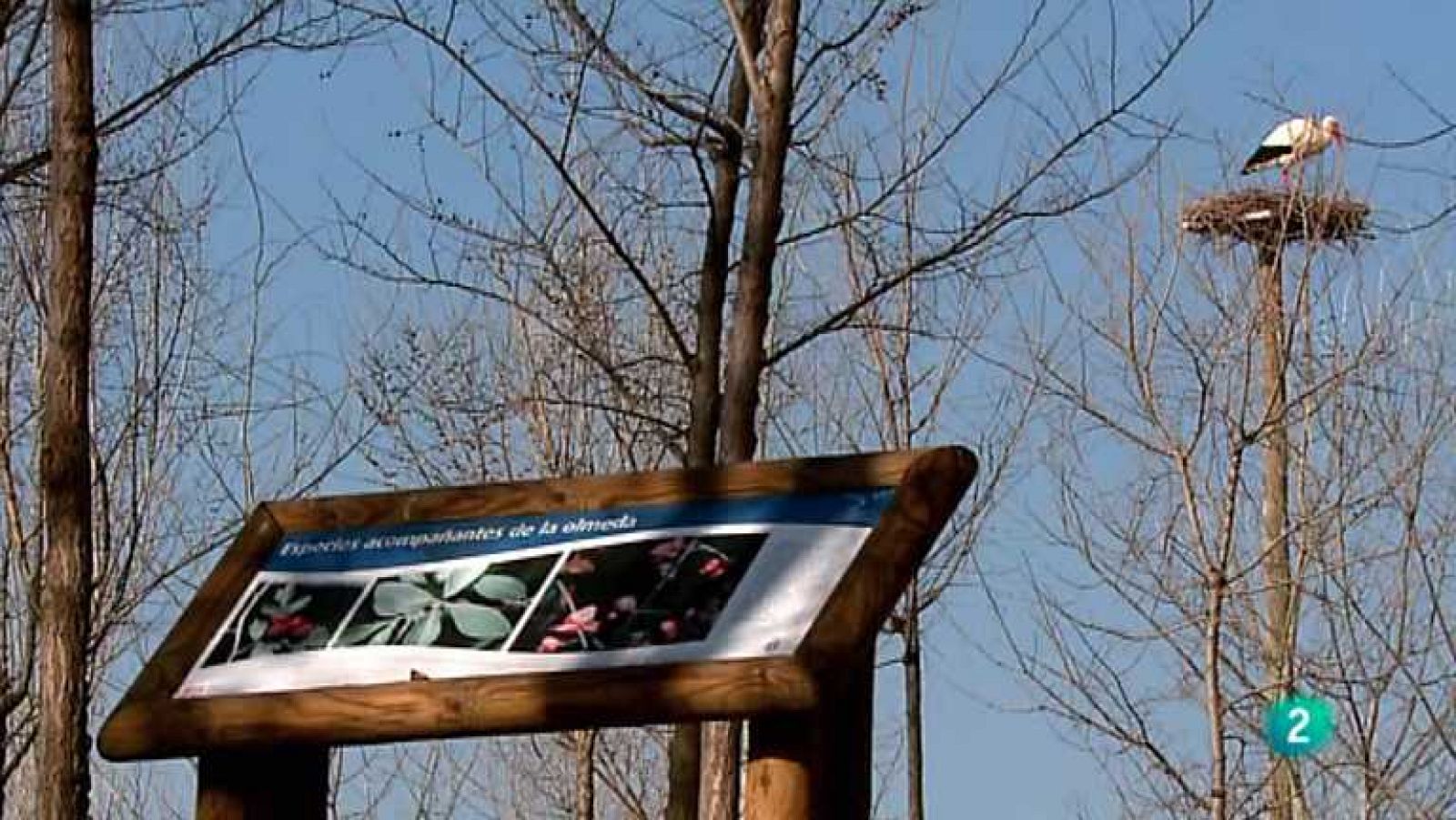 La aventura del saber - 05/11/12  - Ver ahora