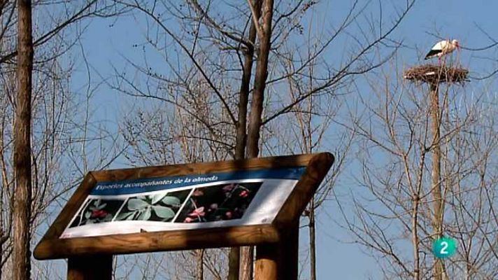 La aventura del Saber - La aventura del saber - 05/11/12