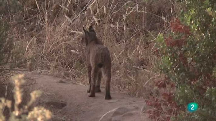 Biodiario - Biodiario - 05/11/12