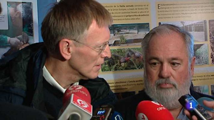 L'informatiu - Comunitat Valenciana - L'Informatiu - Comunitat Valenciana 2 - 06/11/12