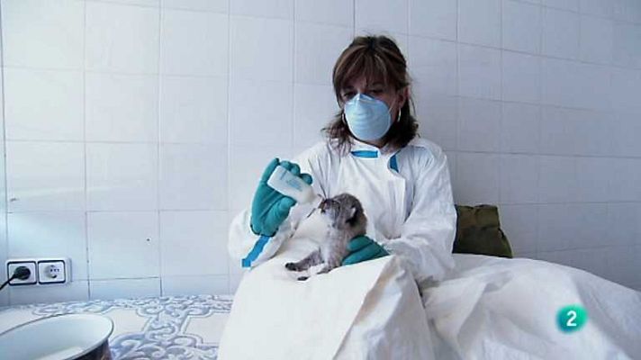 Biodiario - Biodiario - 06/11/12