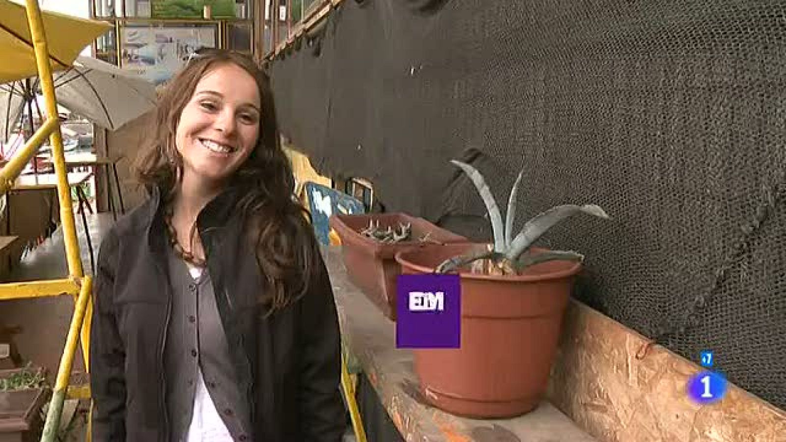 Españoles en el mundo - Norte de Chile - Alicia | Ver