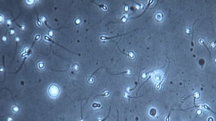 España en comunidad - Nuevo avance contra el cáncer