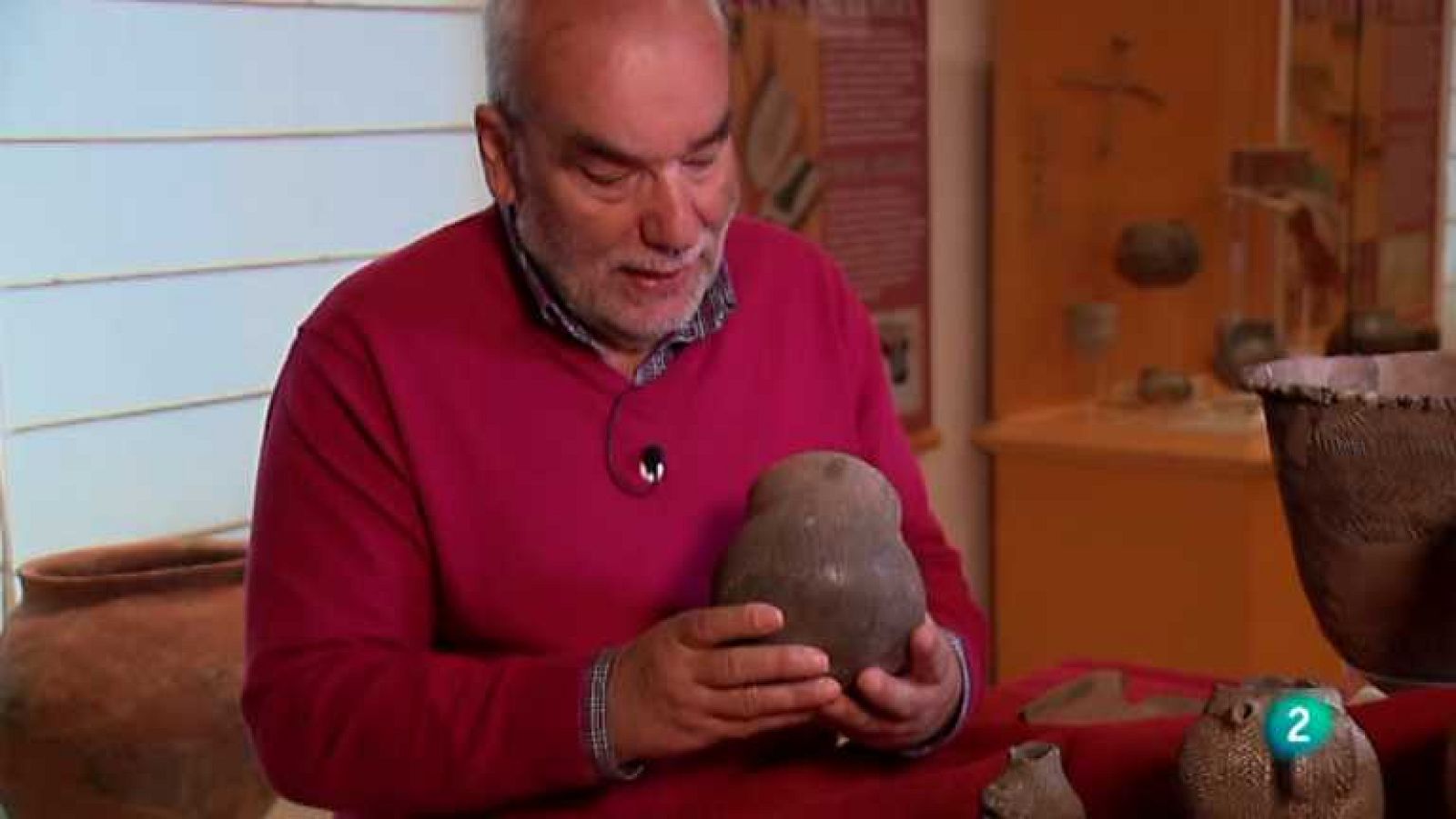 La aventura del saber - 08/11/12  - Ver ahora