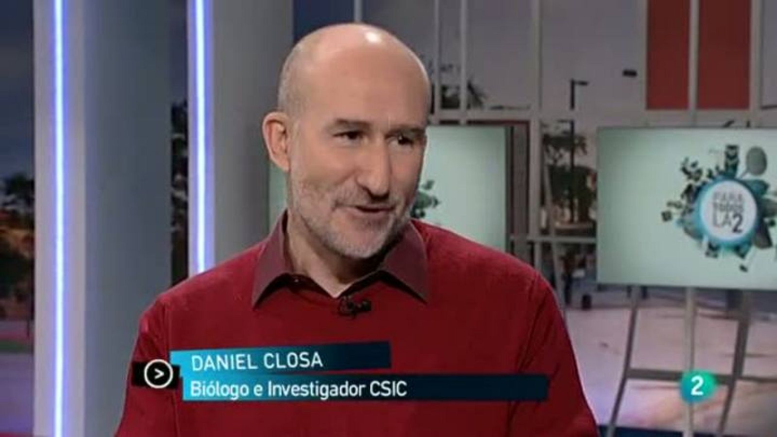 Para todos La 2 - Ciencia: ¿Por qué cuelgan los testículos?