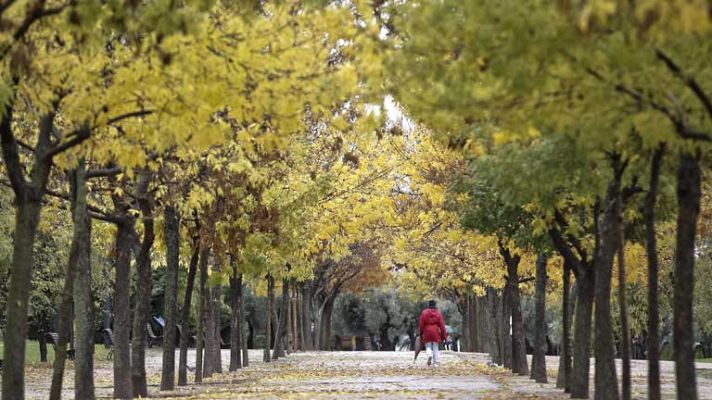 El tiempo - Lluvias débiles a moderadas