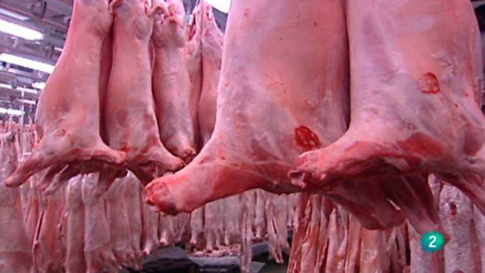 Agrosfera - 10/11/12 - Ver ahora