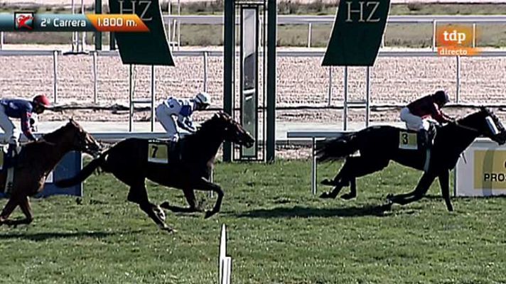 Turf - Turf - 11/11/12