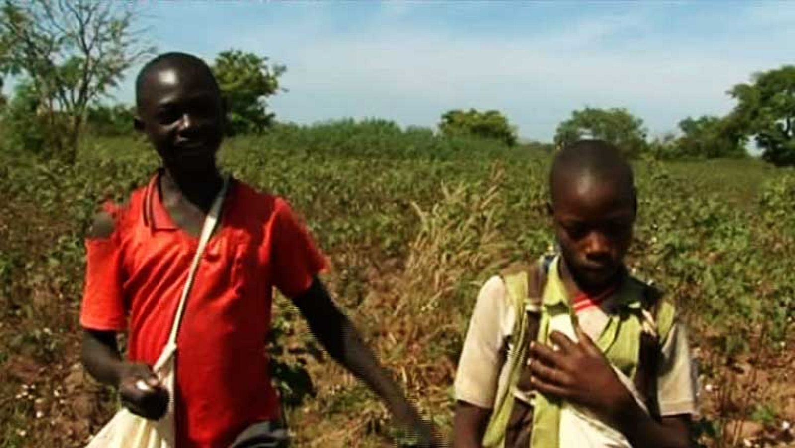 La Noche Temática - Soy niño y trabajo - Avance - La noche temática | Ver