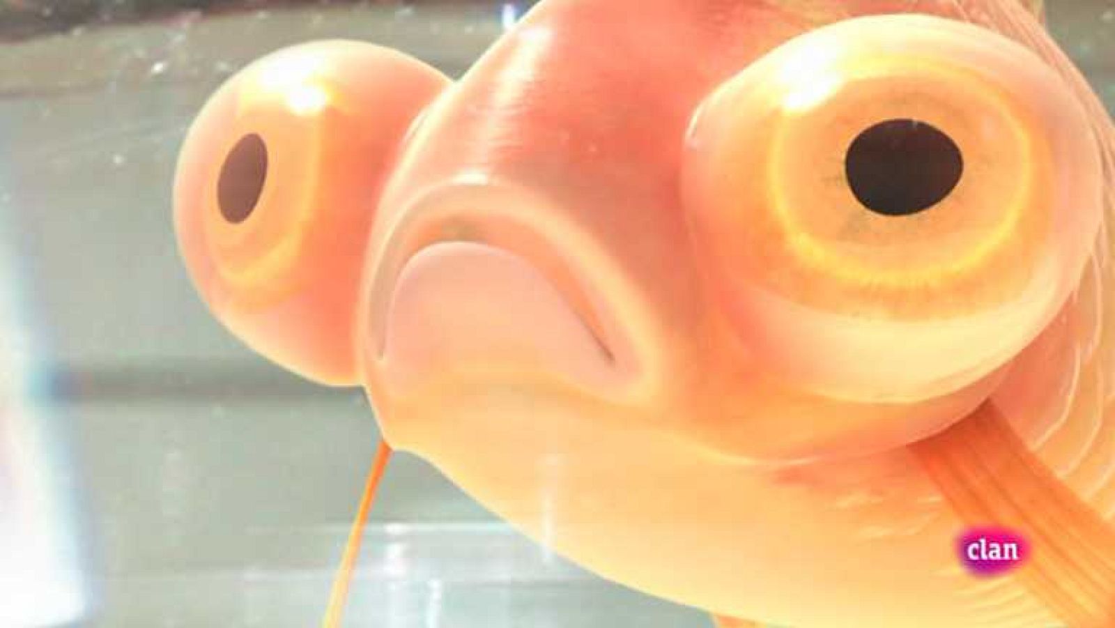 Biodiario - 12/11/12 - ver ahora