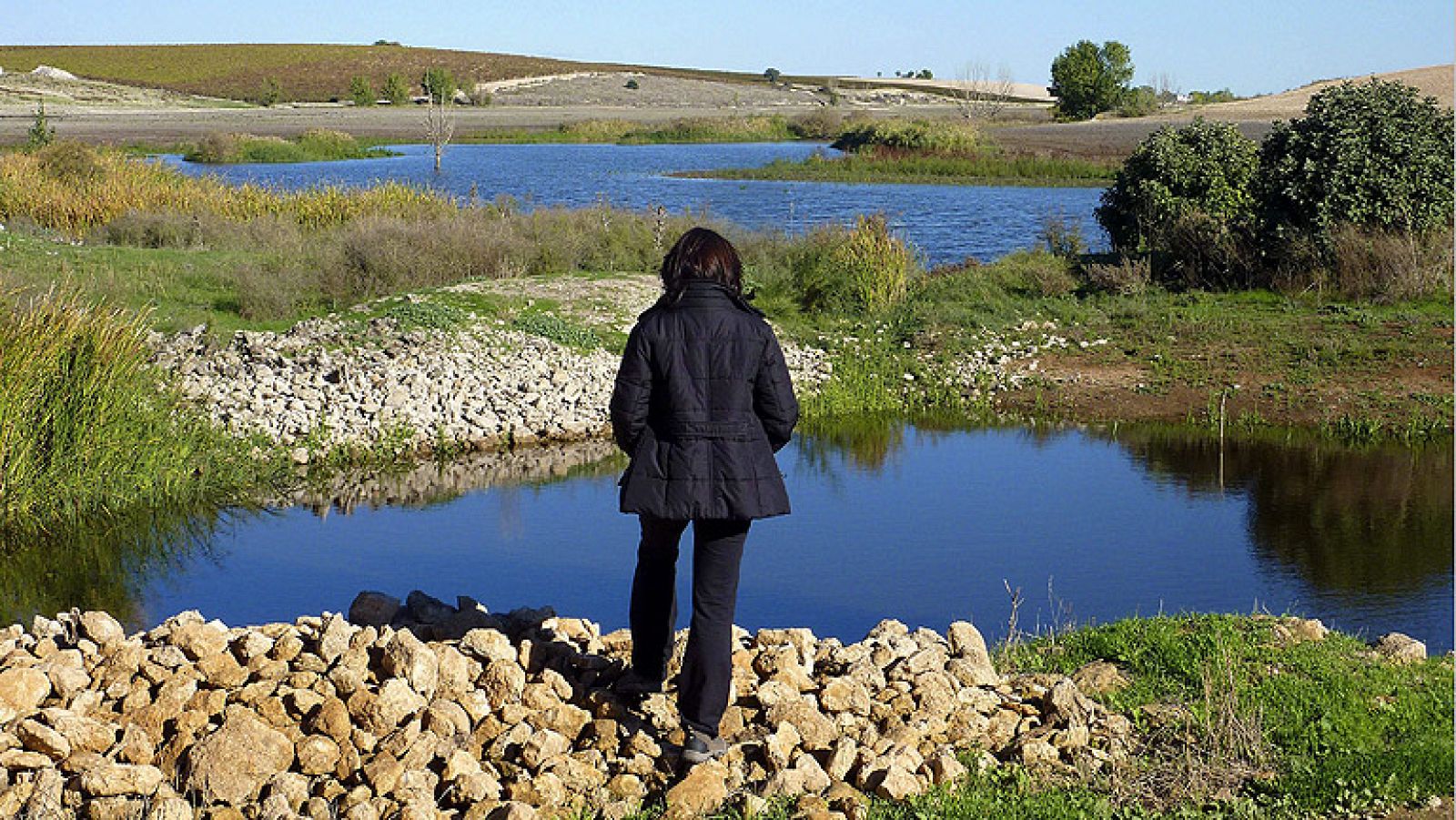 El agua del río Guadiana vuelve a llenar las Tablas de Daimiel.