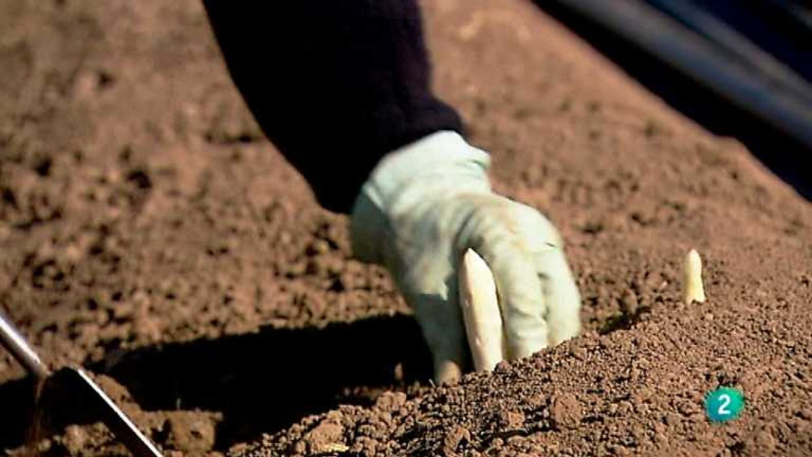 Biodiario - 13/11/12 - Ver ahora