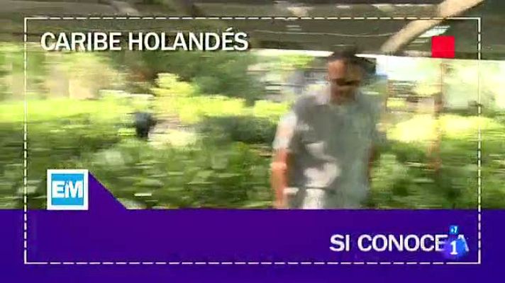 Españoles en el mundo - Caribe holandés - Tomas falsas