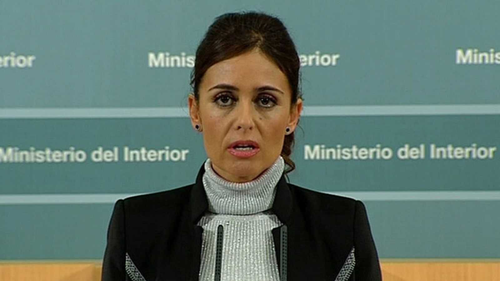 El Gobierno destaca la ausencia de incidentes graves el 14-N - Informativo 24h | Ver