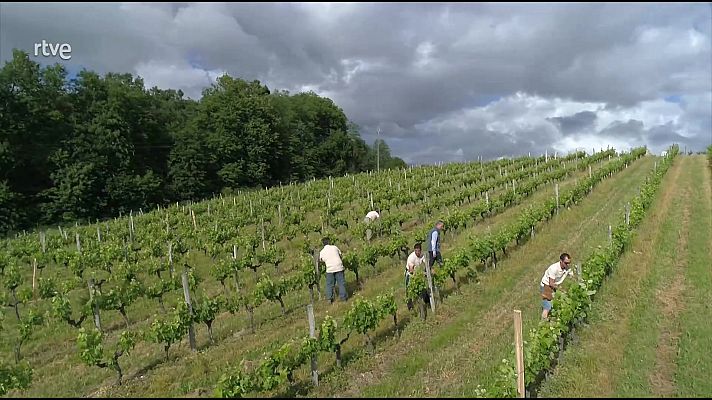 Página Dos - LAS_RECETAS_DE_JULIE_CAP-proba