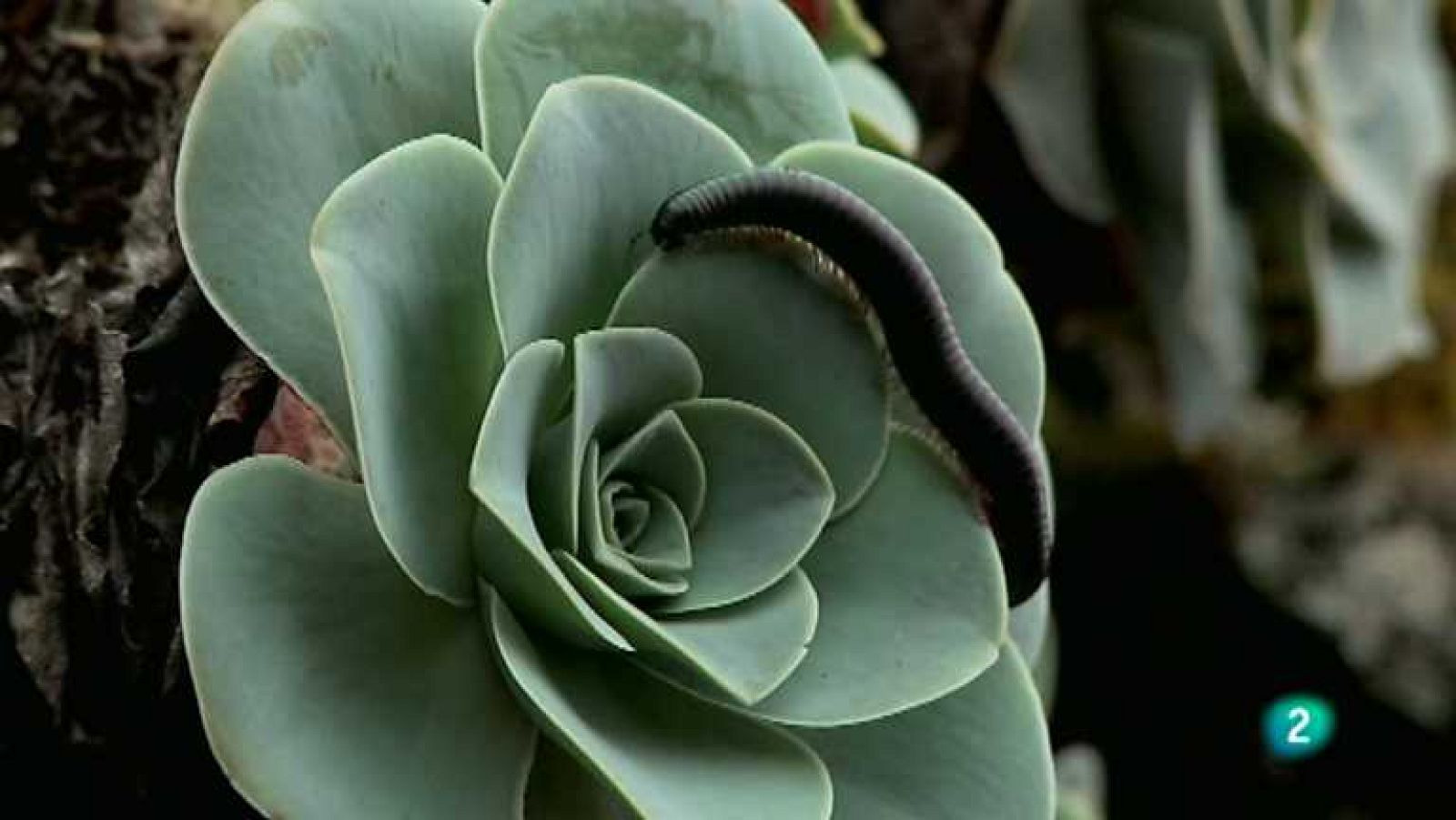 Biodiario - 15/11/12  - Ver ahora