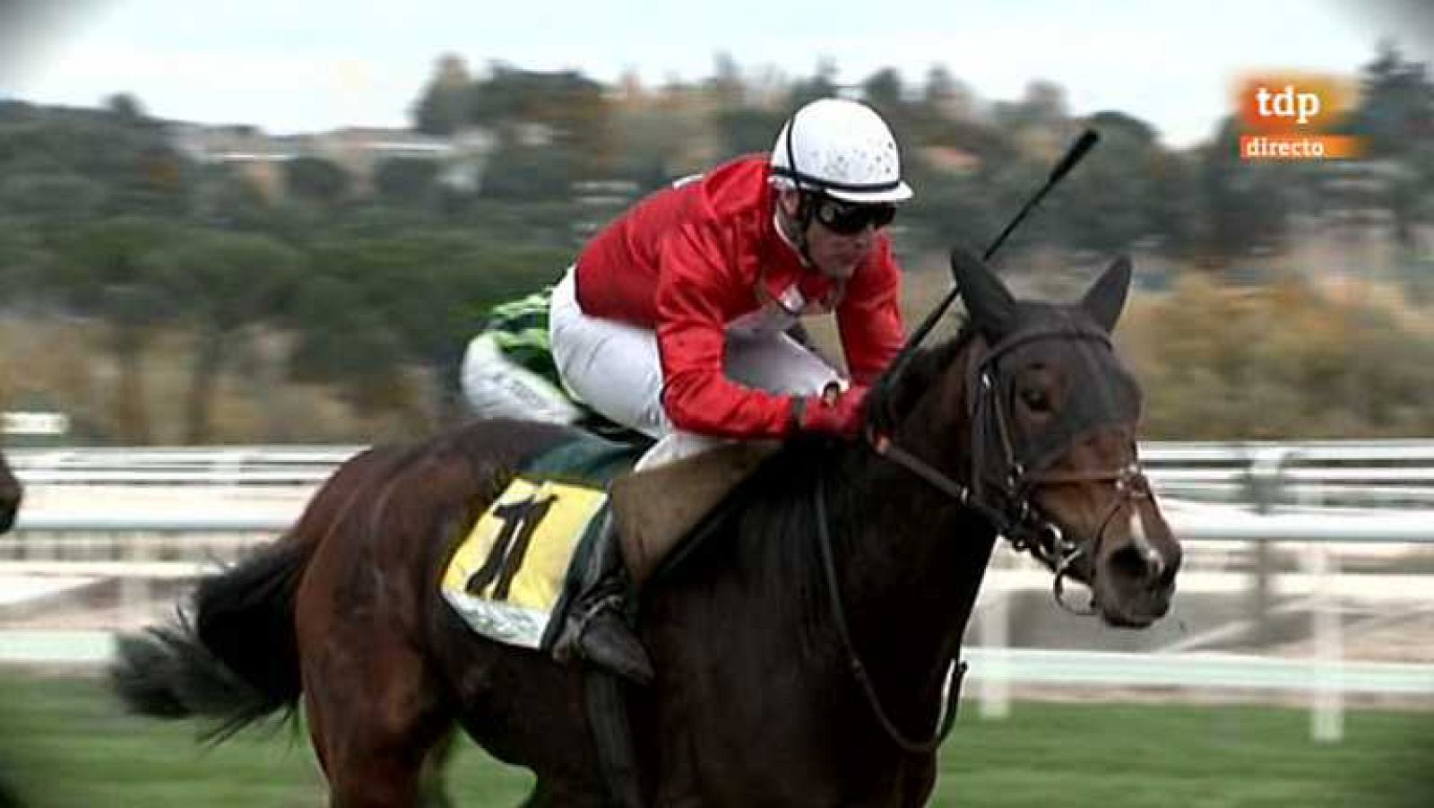 Turf - 18/11/12 - Ver ahora