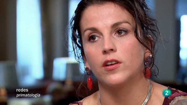 Redes - Nuestros primos hermanos los Bonobo