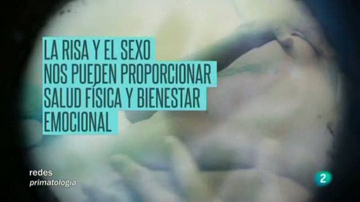 Redes - El humor y el sexo en nuestra vida