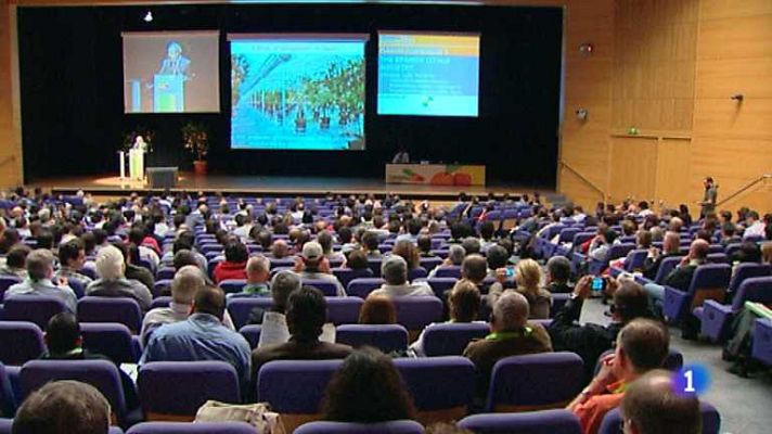 L'informatiu - Comunitat Valenciana - L'Informatiu - Comunitat Valenciana 2 - 19/11/12