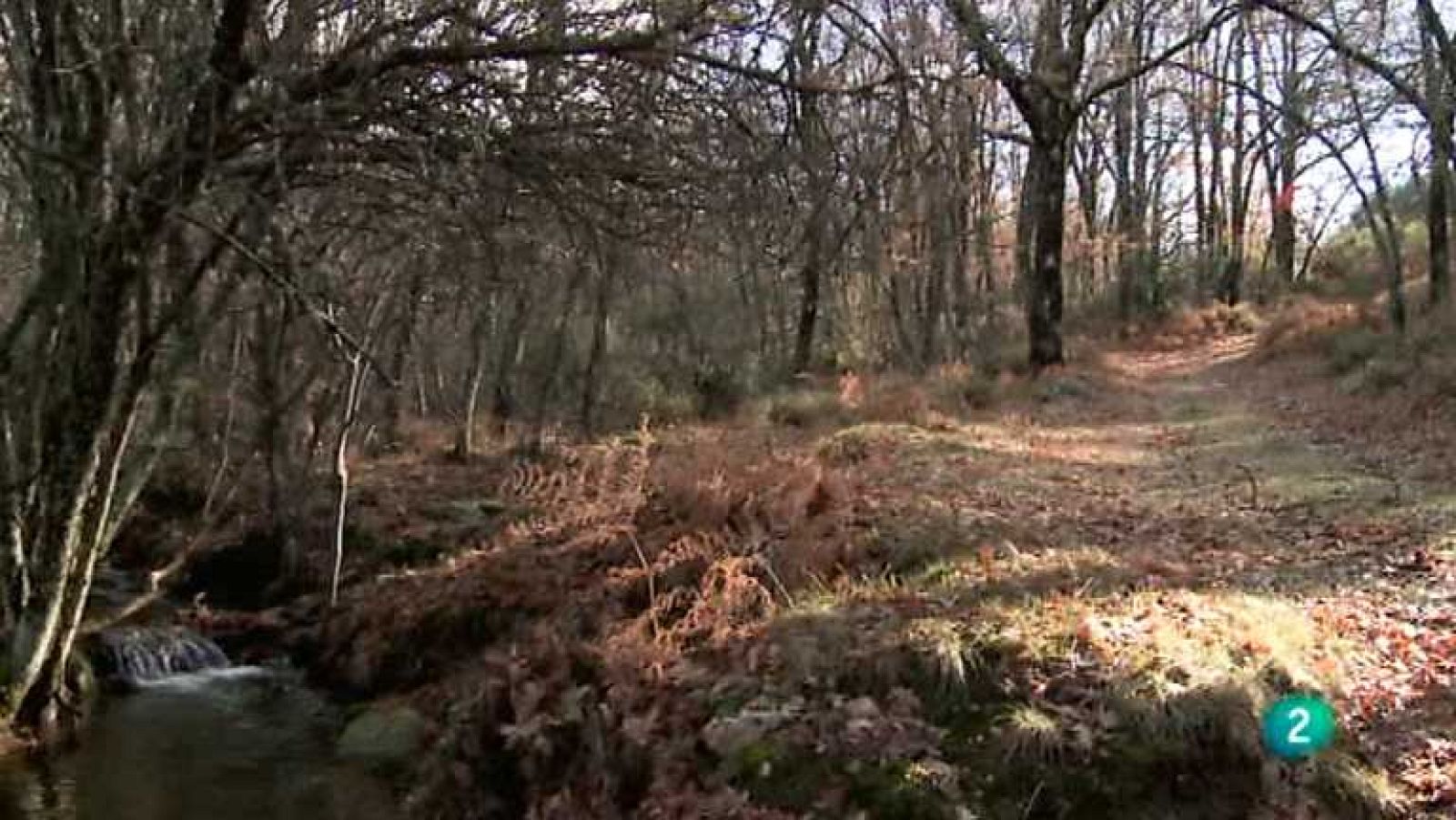 Biodiario - 19/11/12 - ver ahora