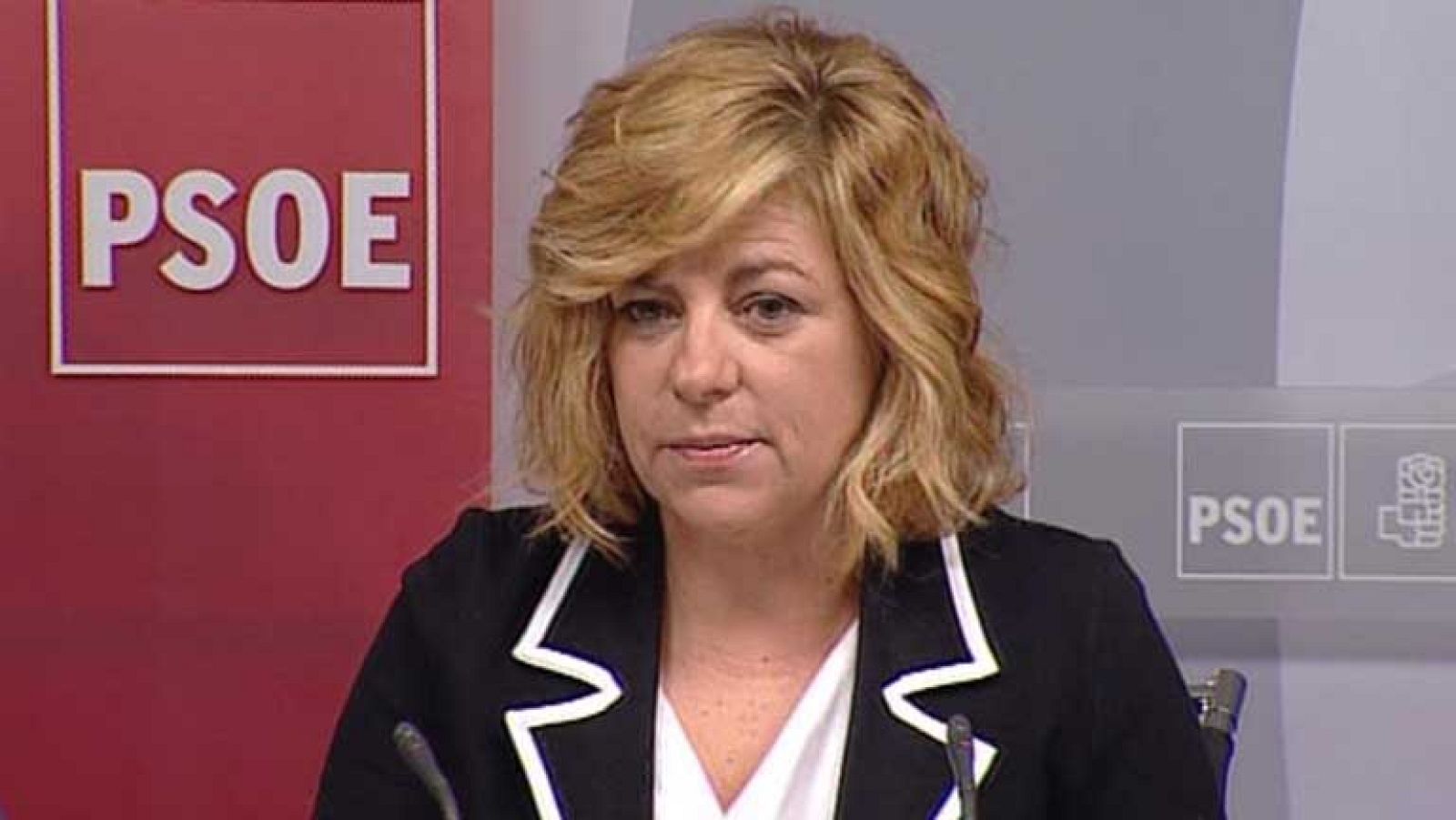 Reacciones de la oposición sobre el permiso de residencia