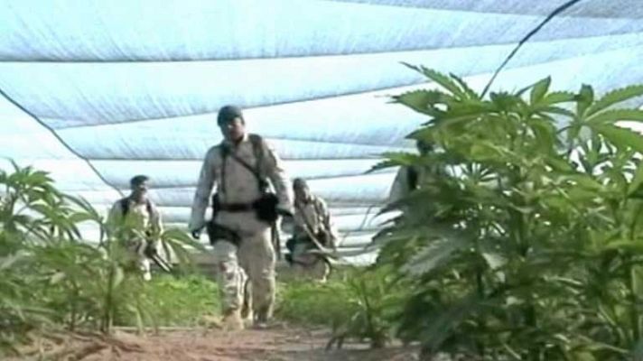 Telediario 1 - Política antidroga