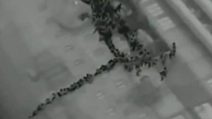  - Caótico rescate nocturno de los pasajeros