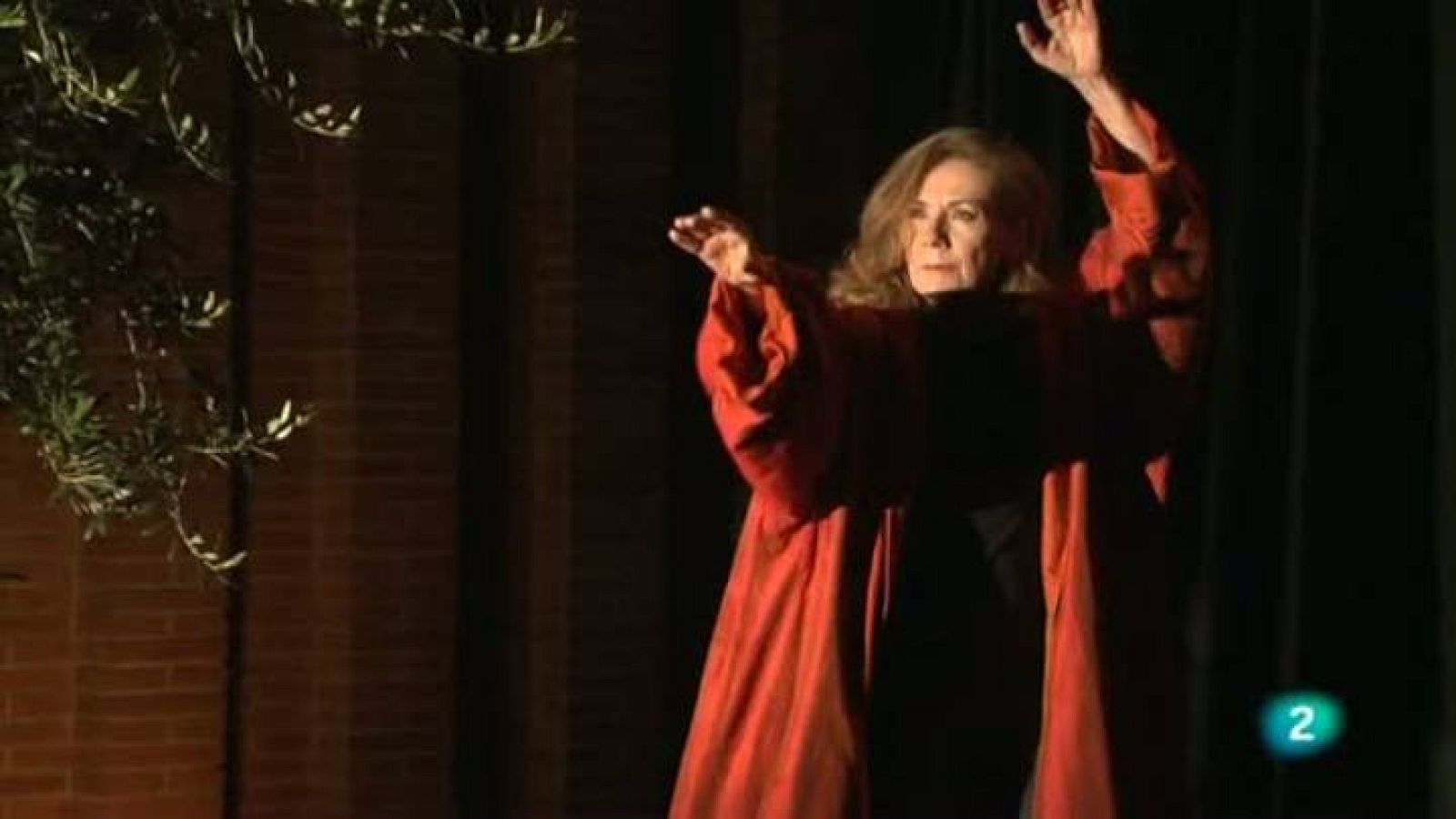 Continuarà - Rosa Novell