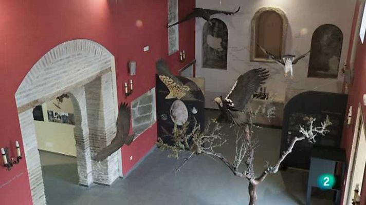 Biodiario - Biodiario - 21/11/12