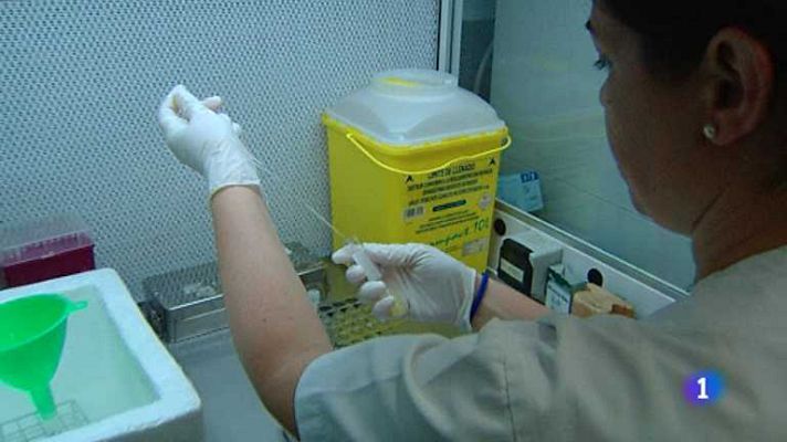 L'informatiu - Comunitat Valenciana - L'Informatiu - Comunitat Valenciana - 22/11/12