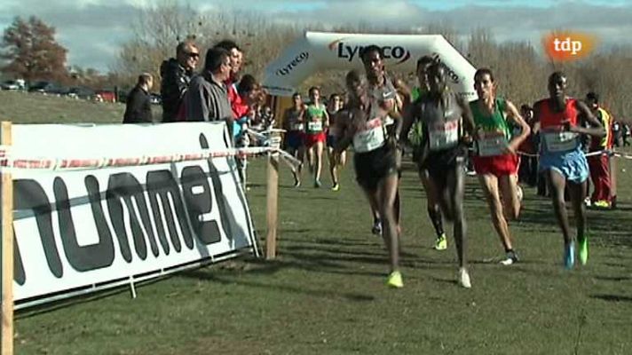 Cross - Cross de Soria: resumen