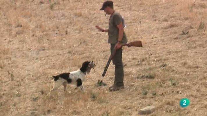 Jara y sedal - XXXI Campeonato San Huberto