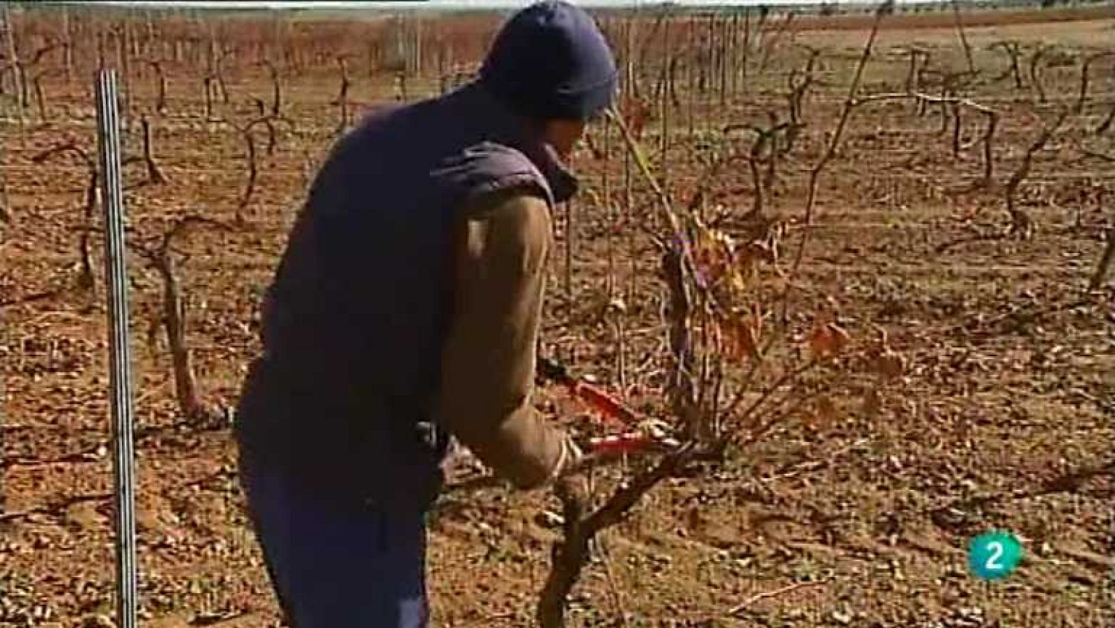 Agrosfera - 24/11/12 - ver ahora