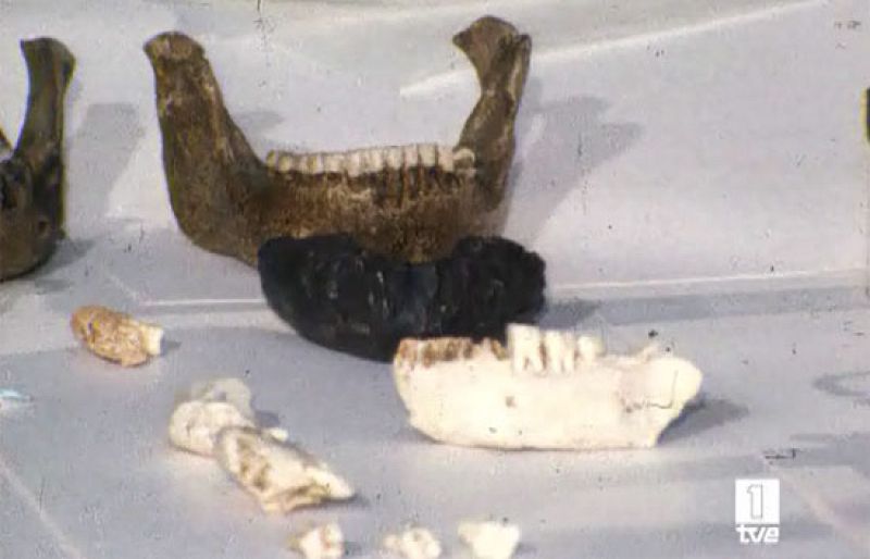 ¿Te acuerdas? Atapuerca (2007)