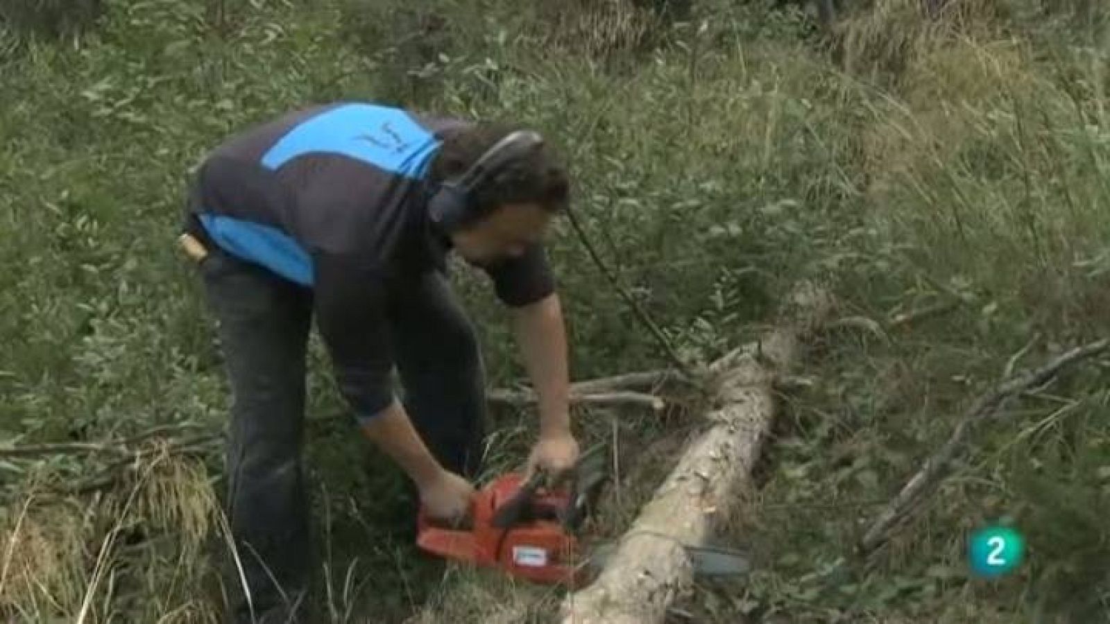 Babel en TVE - Personajes: Hans Nottelman, madera de maestro