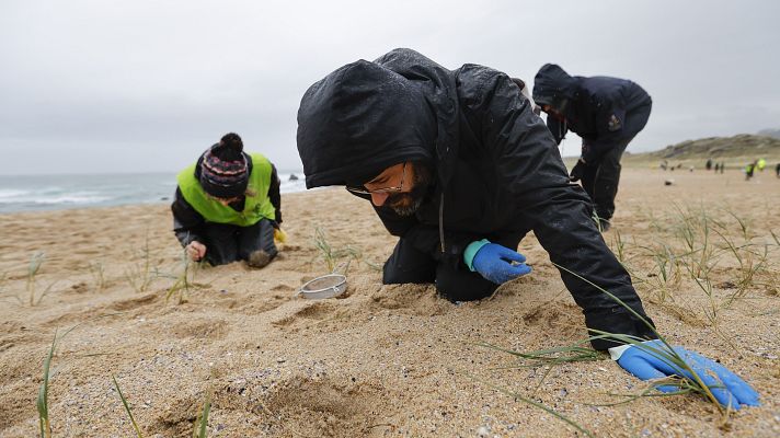 Telediario Fin de Semana - Telediario 1 en 4' - 13/01/24