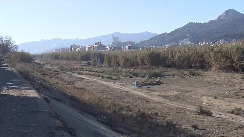 L'ACA busca nous pous - L'Informatiu | Ver