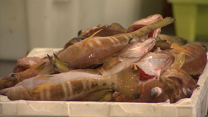 Telecanarias - Canarias en 2' - 14/01/2024