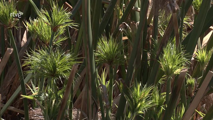 La aventura del Saber - Noticiero Científico y Cultural Iberoamericano