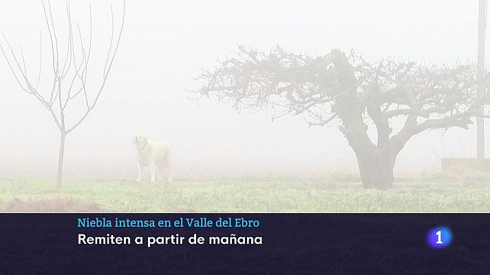 Informativo Telerioja - Informativo Telerioja  - 16/01/24 - Ver ahora