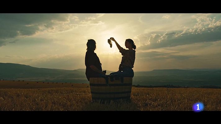 Informativo Telerioja - Informativo Telerioja  - 17-01-2024