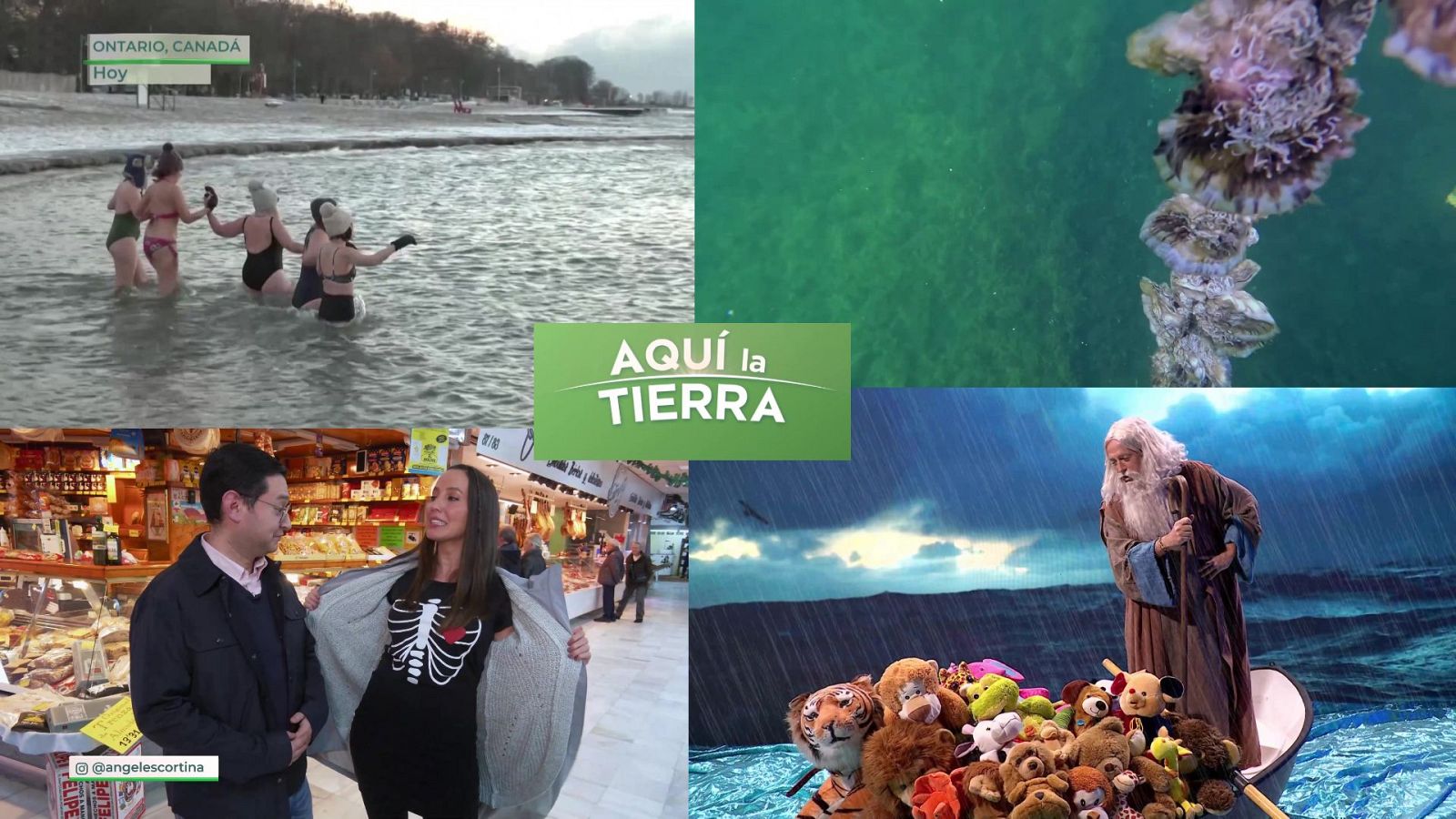 Aquí la Tierra - 17/01/24 - ver ahora