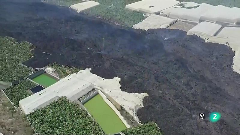 Telecanarias 2 - 18/01/2024 | Ver