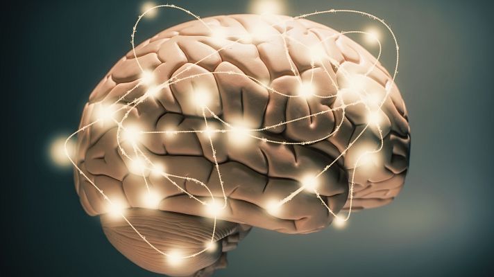 Telediario 2 - Analizando el cerebro de Albert Einstein