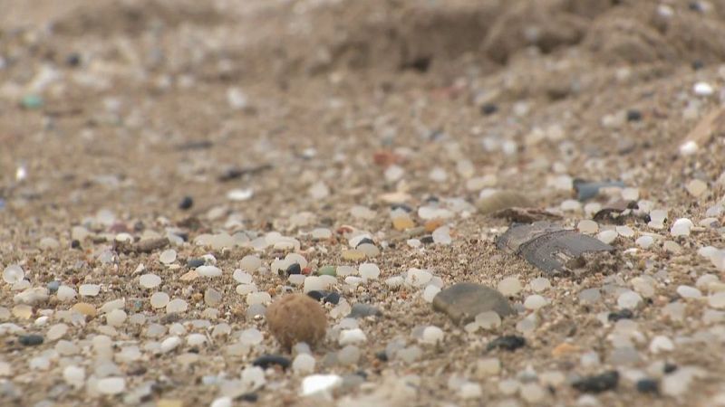 Preocupa la presència de microplàstics a la costa catalana - L'Informatiu | Ver