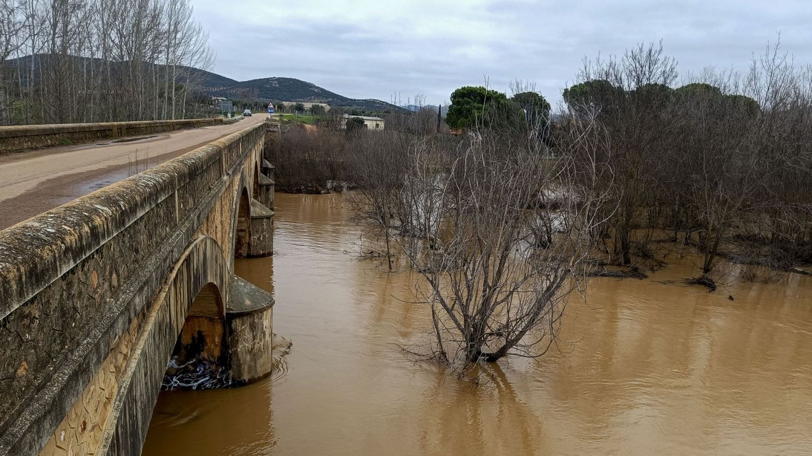 Telediario - 21 horas - 20/01/24 - Lengua de signos - ver ahora